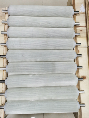 定川清洗线毛刷辊